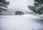 χιόνι
