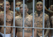 MS-13