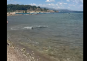 καρχαρίας