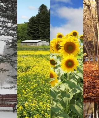 Σχετικά βελτιωμένος ο καιρός σήμερα Πέμπτη. Βροχές και σποραδικές καταιγίδες αύριο  Παρασκευή , άστατος καιρός και το Σ/Κ.  