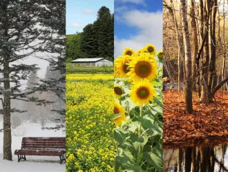 Τοπικές βροχές και σποραδικές καταιγίδες τις επόμενες ημέρες, Τετάρτη και Πέμπτη οι περισσότερες - Πτώση θερμοκρασίας την Πέμπτη