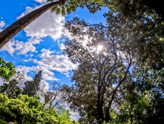 Νεφώσεις με λίγες βροχές σήμερα - Στα ίδια επίπεδα η θερμοκρασία 