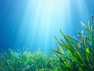 Αυγενάκης: Η υγεία των θαλασσών και των ωκεανών είναι συνολική υγεία στον πλανήτη μας