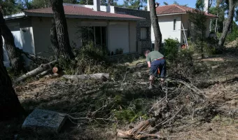 Ακαθάριστα οικόπεδα