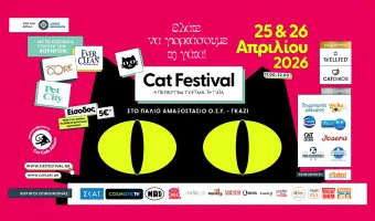 Cat Festival