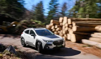 subaru cross wild