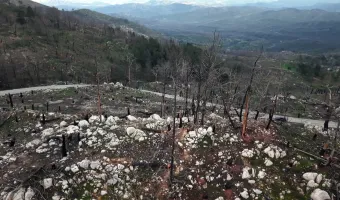 Ρόδος: Οι άνθρωποι που διέσωσαν τουρίστες και έσβηναν τις φλόγες