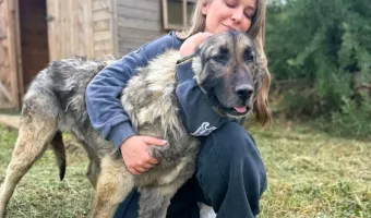 Κατρίνα Τσάνταλη