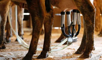 Μη παστεριωμένο γάλα