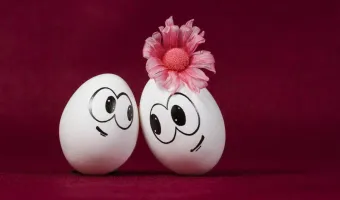 Ζώδια και σχέσεις