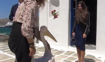 Κίμπερλι Γκίλφοϊλ