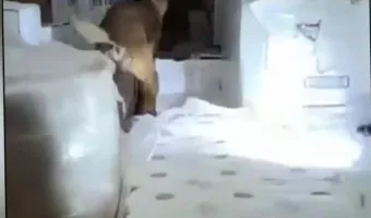 Σκύλος