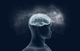 Μπροστά σε μια μεγάλη ανακάλυψη οι επιστήμονες -Έκαναν τον εγκέφαλο και τη μνήμη πειραματόζωων να ξανανιώσει 