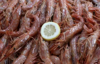 Ίχνη κορωνοϊού σε κατεψυγμένες γαρίδες από τη Σαουδική Αραβία