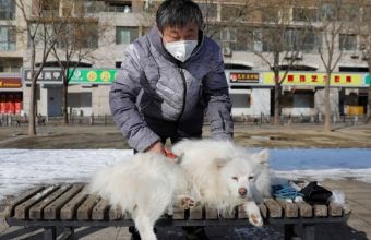 Κορωνοϊός - Χονγκ Κονγκ: Ο σκύλος ασθενούς βρέθηκε θετικός στον ιό και τέθηκε σε καραντίνα 
