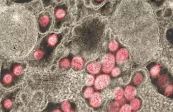 Νορβηγία: Αίρονται πολλά από τα εναπομείναντα περιοριστικά μέτρα κατά του κορωνοϊού