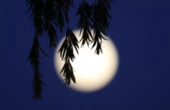 «Το φεγγάρι δεν είχε μυστικά»