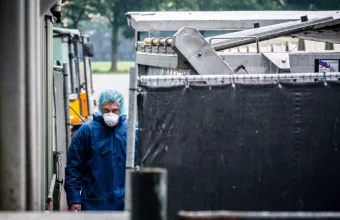 Δανία: Μινκ σε μονάδα εκτροφής θετικά στον κορωνοϊό