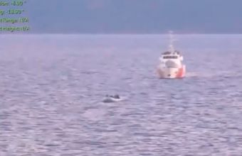 Βίντεο λιμενικού: Τουρκικές ακταιωροί συνοδεύουν βάρκες με μετανάστες στα χωρικά ύδατα