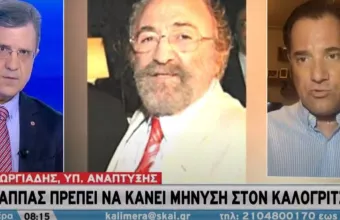 Γεωργιάδης σε ΣΚΑΪ: Αν δεν ευσταθούν οι καταγγελίες Καλογρίτσα, ο Παππάς να του κάνει μήνυση 