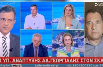 Γεωργιάδης σε ΣΚΑΪ για Τουρκία: Τι οδήγησε σε διεθνή αποδοχή των ελληνικών θέσεων