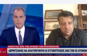 Δερμιτζάκης σε ΣΚΑΪ για «έκρηξη» κρουσμάτων: Όριο 20 -30 ατόμων σε ιδιωτικές συγκεντρώσεις