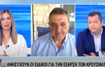 Εξαδάκτυλος σε ΣΚΑΪ προς νέους: «Παιδιά βοηθήστε, σας χρειαζόμαστε»