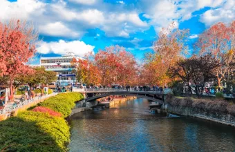 Μίνι λοκντάουν στα Τρίκαλα - Μάσκες και σε εξωτερικούς χώρους - Το μήνυμα του 112