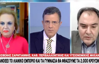 Σαρηγιάννης σε ΣΚΑΪ: Αν ανοίξουν λιανεμπόριο και γυμνάσια θα έχουμε 2000 κρούσματα