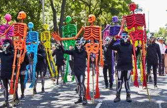 Δώστε μας πίσω την ελευθερία μας