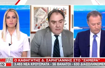 Σαρηγιάννης- ΣΚΑΪ: Ακόμη έναν μήνα lockdown εάν θέλουμε να δούμε αποκλιμάκωση