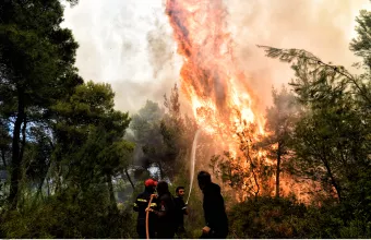 Αλεξανδρούπολη: Σε εξέλιξη πυρκαγιά σε πευκοδάσος στη Λευκίμη