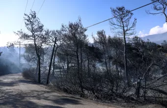 Κυβερνητικό κλιμάκιο αύριο στο Αλεποχώρι για αποτίμηση καταστροφών από πυρκαγιά