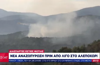 Φωτιά σε Κορινθία και Δυτική Αττική: Νέα αναζωπύρωση σε Αλεποχώρι και Μαυρολίμνη 