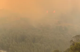 Πυρκαγιά -Σχίνο: Εκκενώνονται και άλλοι οικισμοί - Νέο μήνυμα από το 112