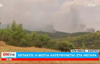 Η πυρκαγιά στα Βίλια πήρε κατεύθυνση προς Μέγαρα - Στο σημείο ισχυρές πυροσβεστικές δυνάμεις