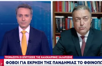 Βασιλακόπουλος σε ΣΚΑΪ: Φόβοι για εκρηκτική αύξηση κρουσμάτων το φθινόπωρο 