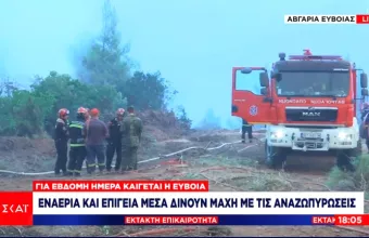 Εύβοια: «Βαλκανική συμμαχία» στις φλόγες –Σέρβοι, Ρουμάνοι, Έλληνες μαζί – Ο φόβος των πυροσβεστών 