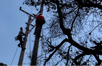 ΔΕΔΔΗΕ: Τεράστιες οι ζημιές από την καταστροφική πυρκαγιά στην Αττική - Ο απολογισμός