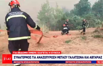 Εύβοια: Aναζωπύρωση μεταξύ Γαλατσώνας- Αβγαριάς: Σε αντίθετη φορά από την γραμμή πυρόσβεσης η φωτιά