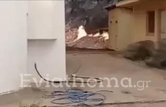 Β.Εύβοια: Σώθηκε η Ιερά Μονή Οσίου Δαυίδ από το πέρασμα της πυρκαγιάς (video)