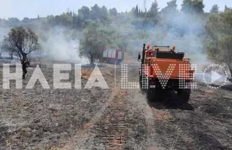 Ηλεία: Πυρκαγιά στην Αρχαία Ολυμπία- Εντολή εκκένωσης σε Ηράκλεια και Πουρνάρι