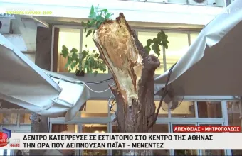 Αθήνα: Κατέρρευσε δέντρο στο εστιατόριο όπου δειπνούσαν Πάιατ με Μενέντεζ 