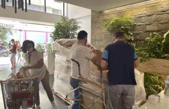 Δράσεις στήριξης για τις ανάγκες των πυρόπληκτων ζώων από την Περιφέρεια Αττικής