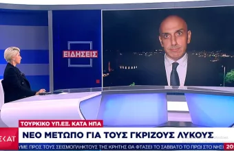 «Νέο μέτωπο» ανοίγει η Τουρκία με τις ΗΠΑ- «Μην ασχολείστε με τους Γκρίζους Λύκους»