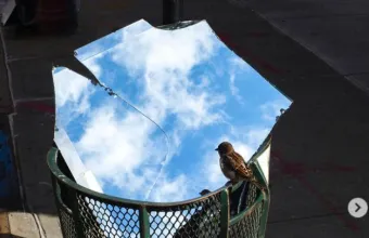 Σπουργίτι και καθρέφτες ουρανού