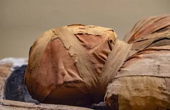 Πάπυρος της Ιλιάδας σε ρωμαϊκή μούμια εντοπίστηκε στην Αίγυπτο