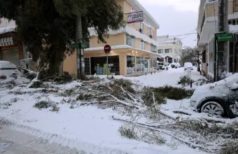 Προειδοποίηση ΔΕΔΔΗΕ: Μείνετε μακριά από πεσμένα καλώδια και στύλους