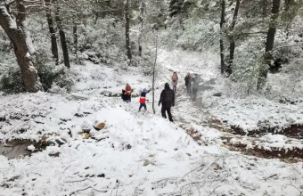 Κακοκαιρία «Ελπίς»: Επί ποδός ο κρατικός μηχανισμός σε όλη τη χώρα, χιονοπτώσεις στην Αθήνα