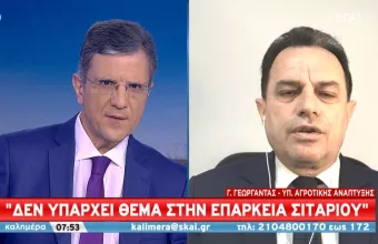 Γεωργαντάς σε ΣΚΑΪ: Από τη Δευτέρα και εντός 48 ωρών η δήλωση των αποθεμάτων- Πλήρης επάρκεια σε σιτάρι